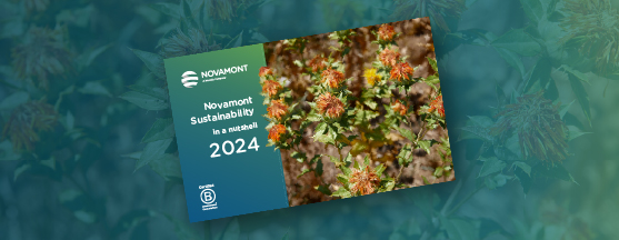 Sustainability Report 2024